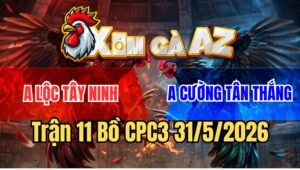 Trận 11 CPC3 31/5/2026: Anh Lộc Và Anh Cường Bất Phân Thắng