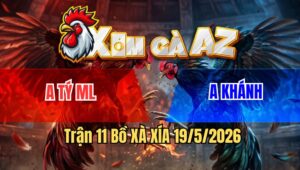 Trận 11 Bồ Xà Xía 19/5/2026 - Gà Bướm Đá Chân Lớn Tới Phút 90 Trầy Da Tróc Vảy Mới Về Bờ Trước Gà Điều