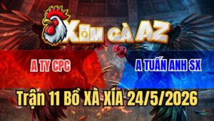 Trận 11 Xà Xía 24/5/2026: Xám Đá Bo Lớn Úa Hư Hình Bỏ Miệng Bưng Ra