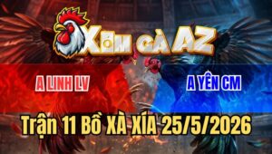 Trận 11 Xà Xía 25/5/2026: Bướm Gồng Tung Cước Hiểm, Tiễn Điều Rời Sân