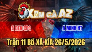 Trận 11 Xà Xía 26/5/2026: Camelo 1 Mắt Đâm Bướm Hộc Máu Tốc Chạy