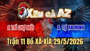 Trận 11 Xà Xía 29/5/2026: Úa Cọp Anh Tự Đâm Thủng Tim Gà Bướm