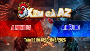 Trận 12 Bồ CPC3 18/5/2026 - Gà Xanh Vào Sân Đá Đâm Như Chĩa Tiễn Đỏ Lên Đường Trong Vòng Nốt Nhạc