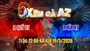 Trận 12 Bồ Xà Xía 19/5/2026 - Đỏ Chồng Độ Chuyến Này Vào Trả Độ Khi Vào Sân Chỉ Vài Lần Giao Nạp Đã Gãy Giò