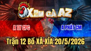 Trận 12 Bồ Xà Xía 20/5/2026 - Đỏ Ty Campuchia Tiếp Tục Làm Mưa Làm Gió Hạ Chủ Bồ Hà Tiên Ngọt Xớt