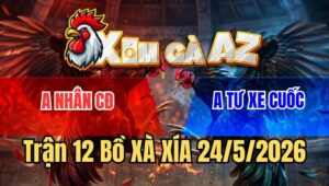 Trận 12 Xà Xía 24/5/2026: Gà Điều Anh Nhân Đá Bo Như Cây Đập