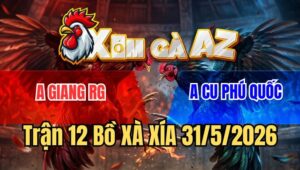 Trận 12 Xà Xía 31/5/2026: Khét Đâm Chân Nào Úa Trào Si Rô Phát Đó
