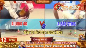 Trận 12 CPC2 13/05/2026 - Anh Long 4G Khắc Tinh Của Idol Bảo Sting