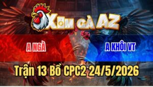 Trận 13 CPC2 24/5/2026: Điều Anh Ngà Siết Đúng 2 Hơi, Đối Thủ Bay Màu