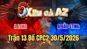Trận 13 CPC2 30/5/2026: Bướm Bảo Sting Chấp 6 Chấm Đá Anh Long Như Con
