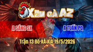 Trận 13 Bồ Xà Xía 19/5/2026 - Gà Úa Điềm Tĩnh Đến Lạ Thường Ra Chân Nhẹ Nhàng Điều Bông Lọt Té