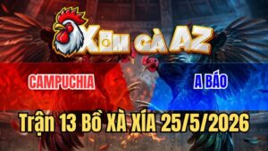 Trận 13 Xà Xía 25/5/2026: Úa Chạy Xe Đụng Bướm Té Bưng Ra Ngoài
