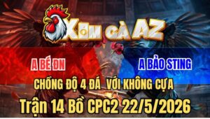 Trận 14 CPC2 22/5/2026: Cú Đá Tử Thần Của Bướm Bảo Sting Chồng Độ 4
