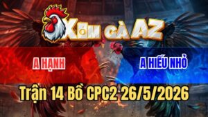 Trận 14 CPC2 26/5/2026: Khét Cọp Anh Hạnh Đá Toàn Đâm Mu Lưng