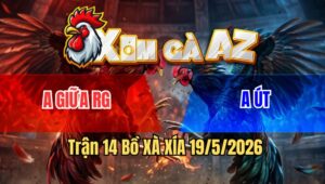 Trận 14 Bồ Xà Xía 19/5/2026 - Đỏ Không Phải Gà Mà Là Cọp Vào Đá Mấy Chân Tiễn Xanh Lên Đường