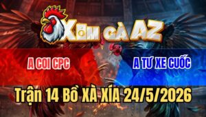 Trận 14 Xà Xía 24/5/2026: Khét Dập Như Cái Máy Xanh Nằm Gục Dưới Chân