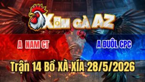 Trận 14 Xà Xía 28/5/2026: Gà Điều Ra Đòn Hiểm, Gà Úa Lách Mình Né Sạch