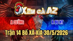 Trận 14 Xà Xía 30/5/2026: Gà Bướm Anh Bu Nhỏ Mà Có Võ, Đá Bự Gãy Giò