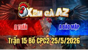 Trận 15 CPC2 25/5/2026: Gà Cú Đâm Nhiều Không Bằng Điều Chổi Một Chân