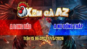 Trận 15 Bồ CPC3 17/5/2026 - Điều Ăn Xổ 1 Gậy Anh Nu Xuất Hiện Gặp Bướm Quá Hay Đá Hư Hình