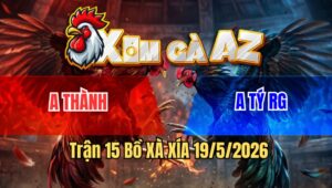 Trận 15 Bồ Xà Xía 19/5/2026 - 2 Con Vừa Vào Giao Nạp Quá Khủng Khiếp Buông Ra Đỏ Đá Cho Xanh Té Chết