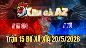 Trận 15 Bồ Xà Xía 20/5/2026 - Gà Xanh Tỉnh Gà Canh Chặn Quá Giỏi Chấm Dứt Chuỗi Của Ty Campuchia
