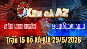Trận 15 Xà Xía 29/5/2026: Điều Đá Bo Lớn Đâm Cú Hư Hình Bỏ Chạy