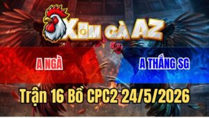 Trận 16 CPC2 24/5/2026: Đỏ Chưa Kịp Đá Đã Dính Cây Nách Ói Chết Tươi