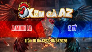 Trận 16 Bồ CPC3 18/5/2026 - Điều Chân Xnah Ra Chân Đứt Khoát Đâm Úa Thấm Tang Nặng Về Sau Gục