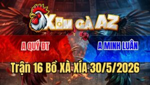 Trận 16 Xà Xía 30/5/2026: Xanh Chồng Độ Phút 90 Trả Mấy Chân Lấy Tiền