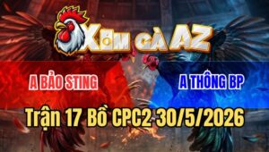 Trận 17 CPC2 30/5/2026: Điều Cọp Bảo Sting Gom Bồ Trong Ngoài Gần Tỷ