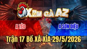 Trận 17 Xà Xía 29/5/2026: Gà Khét Anh Sơn Diệu Tải Cựa Quá Tốt