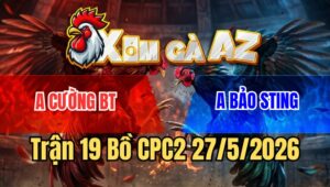 Trận 19 CPC2 27/5/2026