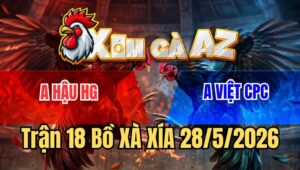 Trận 18 Xà Xía 28/5/2026: Gà Xám Chủ Bồ Đâm Quá Rát, Bướm Tắt Điện