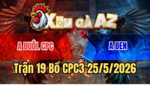 Trận 19 CPC3 25/5/2026: Idol Kiểm CM Tài Đến Mấy Cũng Không Cứu Nổi