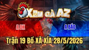 Trận 19 Xà Xía 28/5/2026: Xanh Ra Đòn Liên Hoàn, Đỏ Bỏ Chạy La Làng