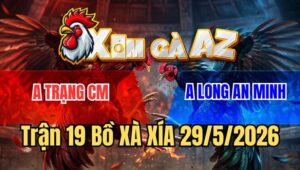 Trận 19 Xà Xía 29/5/2026: Điều Đâm Cựa Hiểm Xám Lọt Ói Chết Tại Chỗ