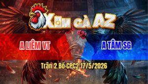 Trận 2 Bồ CPC2 17/5/2026 - Điều Cọp Mặt Điềm Tĩnh Ra Chân Dứt Khoát Chỉ Trong Vòng 2 Chân Bưng Chuối Ra Sân