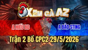 Trận 2 CPC2 29/5/2026: Úa Cọp Bảo Sting Kém 3 Chấm Vẫn Gom Bồ Đẳng Cấp