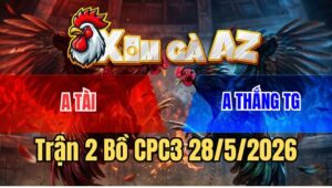 Trận 2 CPC3 28/5/2026: Điều Chân Xanh Anh Tài Đá Toàn Đâm Mu Lưng