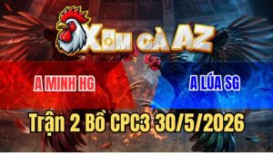 Trận 2 CPC3 30/5/2026: Khét Cọp Anh Lúa Sài Gòn Đâm Cựa Như Búa Bổ