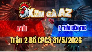 Trận 2 CPC3 31/5/2026: Gà Anh Thái Quá Trâu Đối Thủ Đâm Không Thấm