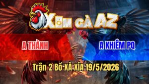 Trận 2 Bồ Xà Xía 19/5/2026 - Điều Vừa Vào Lao Vào Như Vũ Bão Đá Bướm Muốn Hư Bướm Canh Tán Lại Cây Nằm Đống