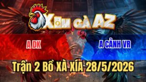 Trận 2 Xà Xía 28/5/2026: Gà Bướm Có Chân Xạo Lờ Phản Ăn 2 Quá Đẳng Cấp