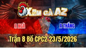 Trận 8 CPC2 23/5/2026