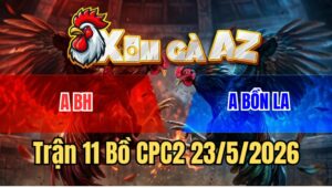 Trận 11 CPC2 23/5/2026