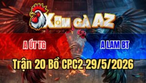 Trận 20 CPC2 29/5/2026: Gà Điều Anh Lam Đâm Cựa Như Phát Xít