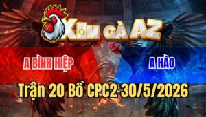 Trận 20 CPC2 30/5/2026: Gà Vàng Chấp 9 Chấm Đá 1 Tay Nước Ăn Luôn