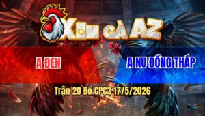 Trận 20 Bồ CPC3 17/5/2026 - Úa Cọp Anh Nu Đá Dâm Như Giang Hồ 3 Chân Rinh Đỏ Ra