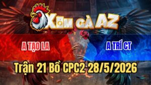 Trận 21 CPC2 28/5/2026: Úa Dẻo Dai Đứng Gồng, Giật Lại 1 Trận Hòa